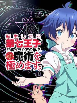 转生七王子的魔法全解 -  日韩动漫在线观看