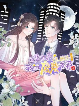 逆袭归来：我的废柴老婆第三季 - 国产动漫在线观看