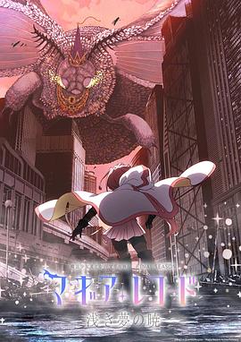 魔法纪录：魔法少女小圆外传 最终季 -浅梦之晓- -  日韩动漫在线观看
