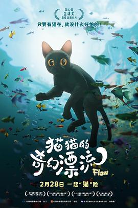 猫猫的奇幻漂流 - 动漫电影在线观看