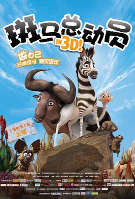 斑马总动员 - 动漫电影在线观看