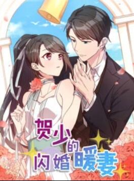 贺少的闪婚暖妻 动态漫第一季 - 国产动漫在线观看